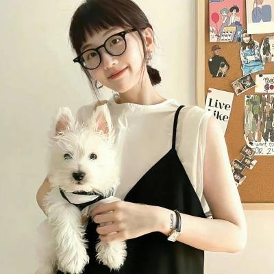 青春检察官